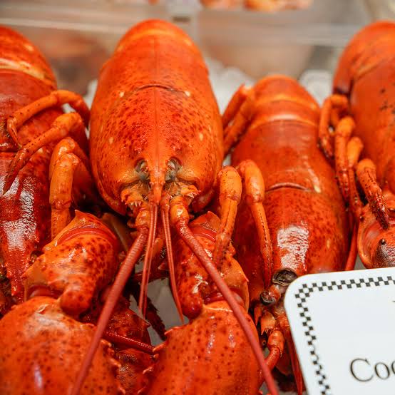 Which Parts of a Lobster Can You Eat?