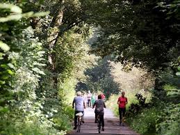 Krefeld Mit Dem Fahrrad Durch Die Walder