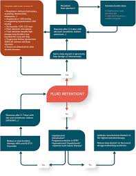 Image result for Loop Diuretic