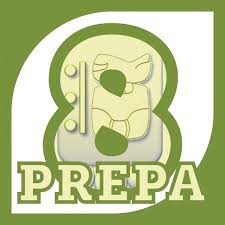 Resultado de imagen para prepa 8