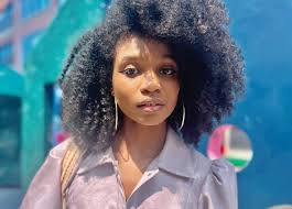 Chicago Reader print issue of August 8, 2024 (Vol. 53, No. 27) by Chicago  Reader