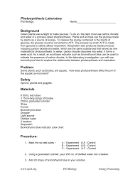 Photosynthesis Lab 21 8kb