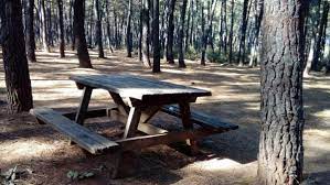 Aydos gibi güzelim şehir içindeki bir doğa ortamında bugün haftasonu bir gitseniz ; Aydos Ormani Mesire Alani Nerede Giris Ucreti 2021 Gezelim Me