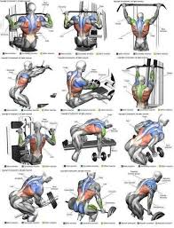 Excercises For My Back Gym Workouts Best Chest Workout