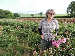 Pick your own fruit at brocksbushes farm. Flower Farms United Kingdom Philippa Craddock