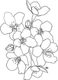 Cherry blossoms coloring page in blossom coloring pages glum. Cherry Blossom Coloring Pages