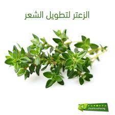 الزعتر لتطويل الشعر Herbs Food Parsley