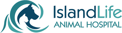 Petersburg and greater tampa bay community for more than 40 years. Island Life Animal Hospital In St Petersburg Fl