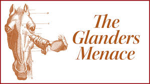 Image result for Glanders