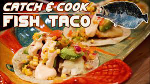 I love adding some fresh ingredients like tomatoes and avocado to make these tacos a. Catch And Cook Fish Tacos Fluke Roast Corn Kimchi Salsa Tempura Flounder Youtube