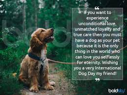 Our records show that bella is the top dog's name in our city with 139 pet owners choosing this name. International Dog Day 2021 History And How To Celebrate This Day Boldsky Com