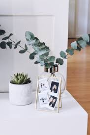 Succulents Eucalyptus Decor Home Decor Accessories Decor Inspiration