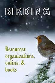 Birdwatching Basics Bird Watching Birder Adventure Time