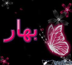 معنى اسم بهار وصفاته الشخصية bahar bahar bhar اسم بهار اسم بهار بالانجليزية neon signs neon
