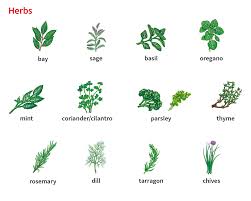 Herb 1 Noun Definition Pictures Pronunciation And Usage Notes Oxford Advanced Learner S Dictionary At Oxfordlearnersdictionaries Com