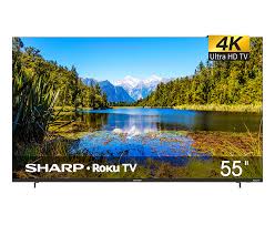 Image result for Sharp CBT-55