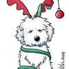 With tenor, maker of gif keyboard, add popular cartoon christmas dog animated gifs to your conversations. Https Encrypted Tbn0 Gstatic Com Images Q Tbn And9gcq17cyo04uqf9ossz0cus81vv Buxtqjajsobelhggtrcyedgg5 Usqp Cau