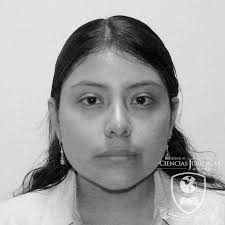 INSTITUTO DE CIENCIAS JURIDICAS DE OAXACA