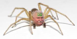 Mem o tematyce lech wałęsa, pająk, pająki, wałęsa, wałęsak brazylijski, obrazek związany ze słowami brazylijski, przeróbka, wałęsak i wałęsa, a także przypisany do kategorii gry słowne, głupoty, memy. Walesaki Brazylijskie Zostaly Zapisane W Ksiedze J 7 Wykop Pl