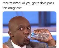 Feb 18, 2015 · bee movie is a 2007 computer animated comedy produced by dreamworks animations, starting jerry seinfeld and renée zellweger. Pass This Drug Test Meme Ahseeit