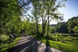 Image result for Cola greenwayi