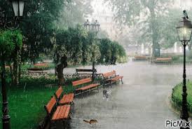 Hay 14 evacuados, 25 zonas afectadas, daños materiales y alerta roja en dos afluentes. Lluvia En El Parque Picmix