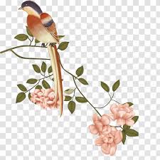 Check spelling or type a new query. China Floral Design Bird And Flower Painting Gongbi Chinese Bird Birds And Flowers Transparent Png