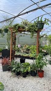 Maybe you would like to learn more about one of these? Silver Spring Events Based Plant Enterprise Finds Success Increasing To Retail Throughout Pandemic Influencers Review