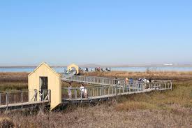 The park has 10 miles of trails, some paved, some dirt. Cortese Day On The Bay Goes Virtual With Boat Tour Of Wetlands San Jose Spotlight