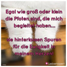 Sprüche Für Tierliebhaber