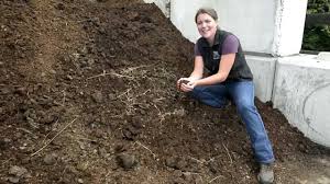 Maybe you would like to learn more about one of these? Horse Manure From Road Apples To Fantastic Fertilizer Epic Gardening