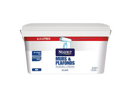 Bricomarché vous propose les bons gestes pour couler et armer une dalle de béton. Peinture Mur Plafond Blanc Mat Pot 2 5l Bricomarche