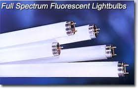 Full Spectrum Fluorescent Lamps The Phillips Tl950 Have The Highest Cri Of 98 While Still Being At 5000 Kelvin Fluorescent Lamp Fluorescent Bulb Fluorescent