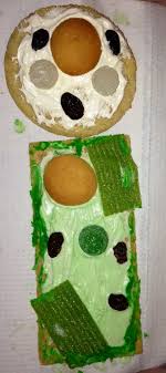 There are hundreds of cell types in a developed organism, which are specific to their location and function. 130 Animal Cell Project Ideas In 2021 Cells Project Animal Cell Project Animal Cell