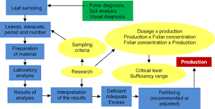 Plant Analysis Intechopen