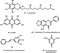 Image result for Peddiea fischeri