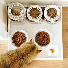 Diy Cat Food Tray Wellness Cat Food Healthy Cat Food Pet Food Tray