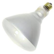 Finding The Right Bulbs Lighting