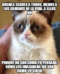 Check spelling or type a new query. Meme Creator Funny Buenas Tardes A Todos Menos A Los Caminos De La Vida A Ellos No Porque No Son Meme Generator At Memecreator Org