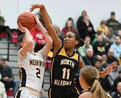 North Allegheny notebook: Jasmine Timmerson, Spencer Stefko earn postseason  honors