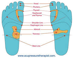 Acupressure Foot Chart Reflexology Foot Chart Learn How To