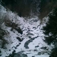 10 meter von einer felskante auf sandigen boden. Sillschlucht Eingang Innsbruck Tirol