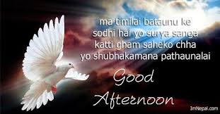 24 Good Afternoon Sms In Nepali Quotes Messages Often after a busy morning, people feel drowsy and lazy in the afternoon after their meal. 24 good afternoon sms in nepali quotes