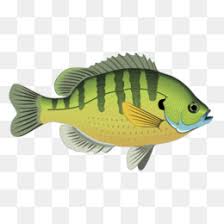 free download pond cartoon png cleanpng kisspng free download pond cartoon png