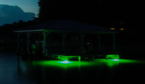 Ds60 And Sf60 Underwater Dock Lights Really Make A Cool Look You Won T Believe The Fish That You Can See All Around The L Dock Lighting Fishing Lights Lights