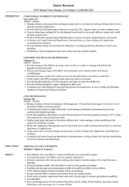 coo technology resume samples velvet jobs