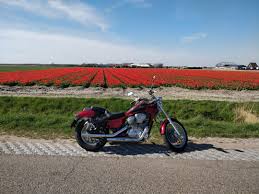 Image result for Aqua 1992 Shadow