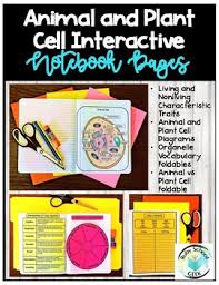 We did not find results for: Cells Interactive Notebook Worksheets Teachers Pay Teachers