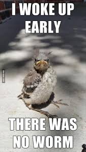 Cute good morning meme to brighten up your day. 80 Good Morning Memes To Kickstart Your Day Sayingimages Com