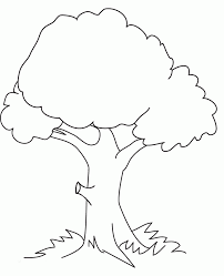 A colouring page for students to colour in as part of a module or topic on seasons, trees, environments, habitats, or plants. The Big Oak Tree Coloring Pages Coloring Pages For Kids Bah Coloring Home